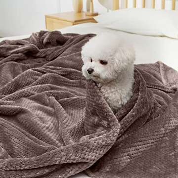 GAGAHAO Fleece Throw Blanket, Twin Size Fuzzy Throw Blanket for Couch Sofa Soft Warm Cozy Furry Decorative Thick Blankets & Bed Throws for Couch (Light Brown, 60x80 inch)