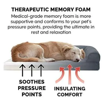 Furhaven Large Memory Foam Dog Bed with Washable Cover