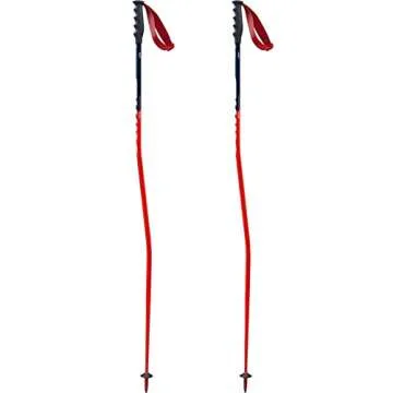 Swix Winter Sports Recreation Competition Alpine Skiing Racing Freeriding WC Pro Super-G Aluminum Po...