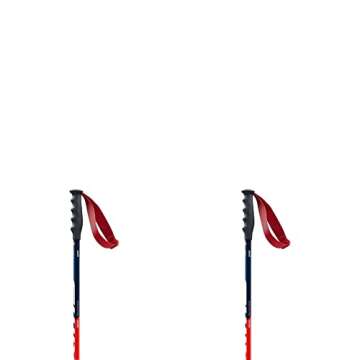 Swix Winter Sports Recreation Competition Alpine Skiing Racing Freeriding WC Pro Super-G Aluminum Poles, 115cm