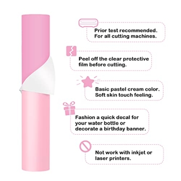 TECKWRAP 001 Vinyl Matte Permanent Vinyl for Crafts