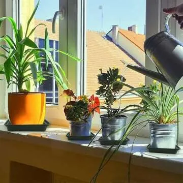 Square Plant Saucer 12 Inch Durable Plastic Plant Trays