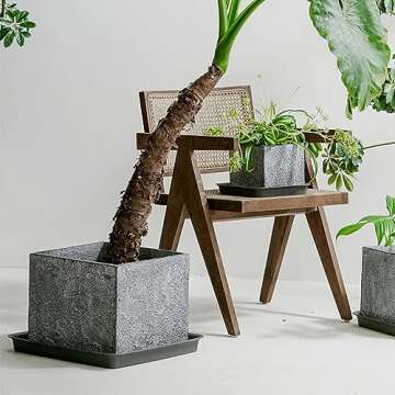 Square Plant Saucer 12 Inch Durable Plastic Plant Trays