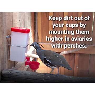 RentACoop Wire Bracket for Small Animal Drinking Bottle (32 oz/1 Liter)