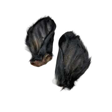 Ancestral Hunter Dehydrated Ears for Dogs - Natural Whole Cow Ears - Safe Rawhide Alternative - Healthy Dog Chews - Gently Dehydrated - 100% Cow - Pack of 2