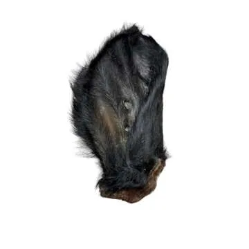 Ancestral Hunter Dehydrated Ears for Dogs - Natural Whole Cow Ears - Safe Rawhide Alternative - Healthy Dog Chews - Gently Dehydrated - 100% Cow - Pack of 2