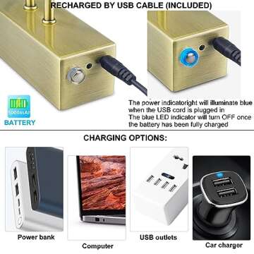 FUNCHDAY Picture Light, Wireless Rechargeable Gallery Lights with Remote, 280LM 48 LED Dimmable Painting Lighting, 16in Battery Operated Art Lights for Paintings,Wall Artwork (Antique Brass)