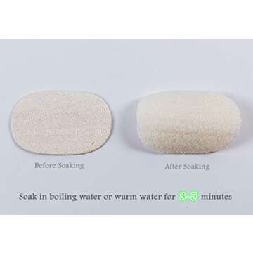 HOMUG Natural Dish Scrubbers, 6 PCS Kitchen Loofah Sponge, Greener Clean Durable Non-Scratch Brush, Made from 100% Plant-Based Fibers, Oil Non-Stick, Compostable, Luffa Loofa Loufa Lufa