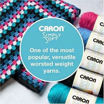 Caron Simply Soft Feathered Gray Yarn - Versatile and Soft