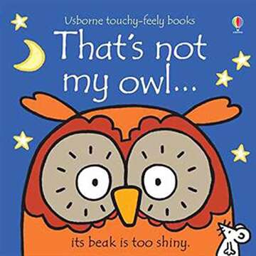 That's Not My Owl...(Usborne Touchy-Feely Books)