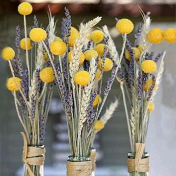 HUAESIN 30Pcs Natural Dried Flowers Craspedia Billy Balls Flowers Dried Billy Buttons Floral Bouquet for Arrangements Wedding Home Tall Vase Decor Yellow