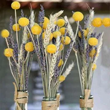 HUAESIN 30Pcs Bright Yellow Dried Craspedia Flowers