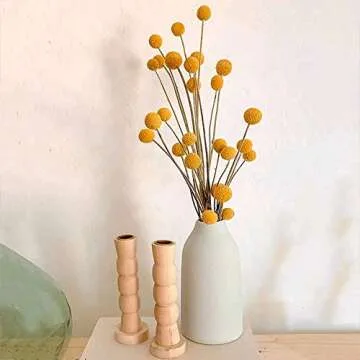 HUAESIN 30Pcs Bright Yellow Dried Craspedia Flowers