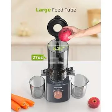 Cold Press Juicer with 8 Juice Bottles - Masticating Juicer Machines for Fruits and Veggies, 4.25" Large Feed Chute, Easy to Clean, Gun Grey