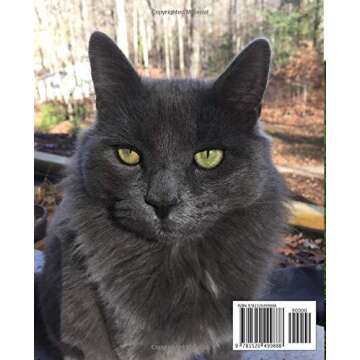 Pet Photography - Secrets for taking better pet photos with your phone: Along with tips on taking yo...