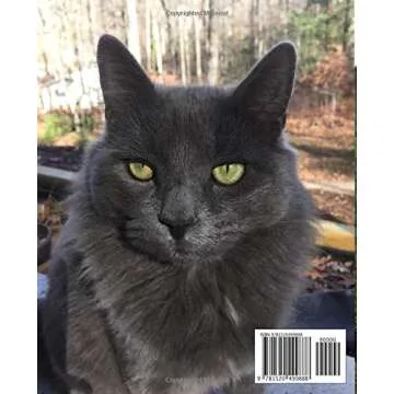 Pet Photography - Secrets for taking better pet photos with your phone: Along with tips on taking yo...