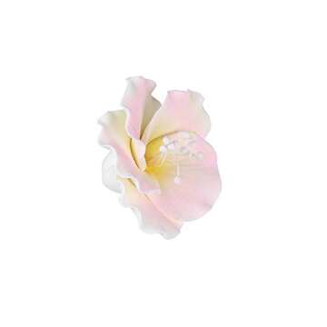 O'Creme Gumpaste White-&-Pink Azalea Flower Set of 6 - Edible Flowers for Cake Decorating - Sugar Pa...