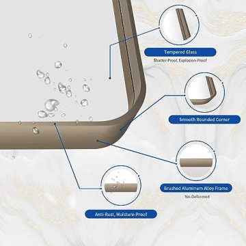 WEER Bronze Bathroom Vanity Mirror, 48x32 Inch Elegant Style