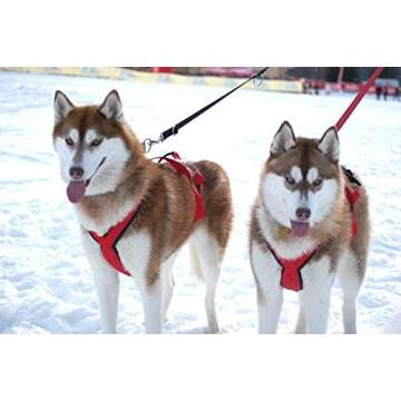 Neewa Pro Sled Dog Harness in XXX-Large Red