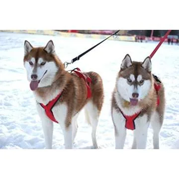 Neewa Pro Sled Dog Harness in XXX-Large Red