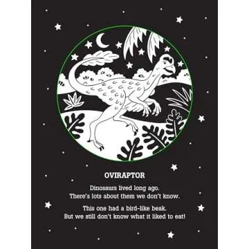 Dinos After Dark Bedtime Shadow Book