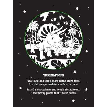 Dinos After Dark Bedtime Shadow Book