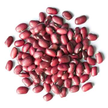 Food to Live Adzuki Beans, 8 Ounces - Whole Dried Azuki Beans (Red Mung Beans), Raw, Vegan, Kosher, ...