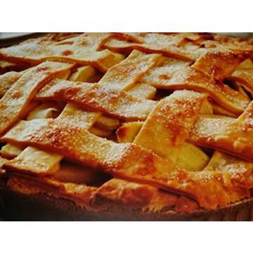 Two 9 inch Pie Pans a Heavy weight steel none stick bakeware set with even heating (Standard version)