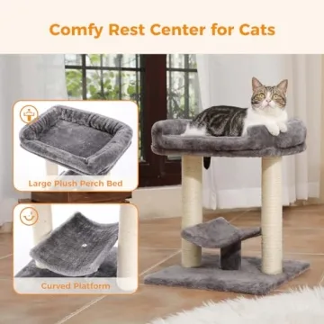 PETEPELA 19" Cat Scratching Post with Large Plush Perch