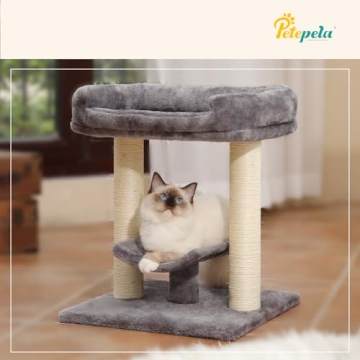 PETEPELA 19" Cat Scratching Post with Large Plush Perch