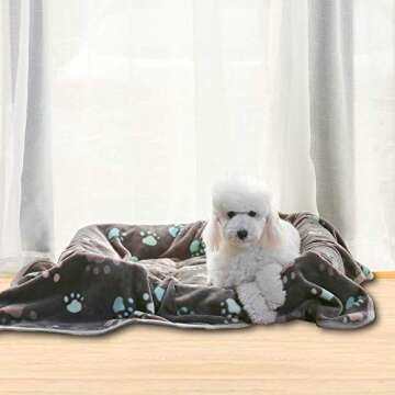 Allisandro Fuzzy Flannel Fleece Pet Dog Blanket 32x24