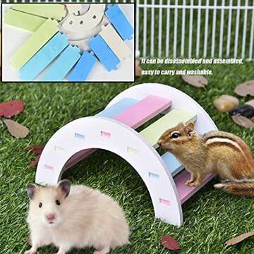 2 Pack Dwarf Hamster Flying Saucer Exercise Wheel Toy & Wood Rat Bridge Rainbow Climb-ABS Plastic Running & Jogging Silent Spinner-for Small Mouse Hedgehog Mice Cage