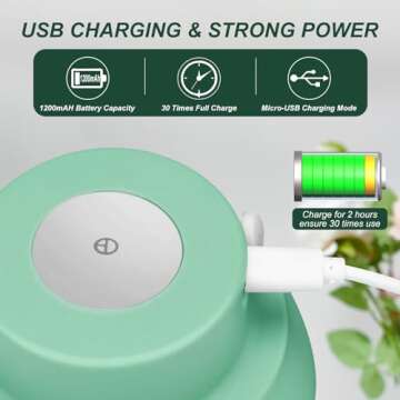 Electric Garlic Chopper 250ML, Mini Vegetable Chopper 2 in 1 Food Chopper Garlic Mincer with Egg Beater, Onion Chopper, USB Portable Small Food Processor for Veggie, Garlic, Ginger, Chili