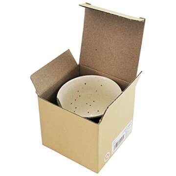 Watch Studio Ghibli Sakura Teacup - Totoro Charm