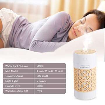 Portable Car Humidifier with Night Light & Auto Shut-Off