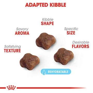 Royal Canin Feline Health Nutrition Mother & Babycat Dry Cat Food, 3.5 lb bag