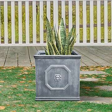 Kante Square Lion Head Concrete Planter, Classic English Style Plant Pot with Drainage Hole and Rubber Plug for Indoor Outdoor Garden Patio Home, 12.6"x12.6"x12.6" Antique Gray