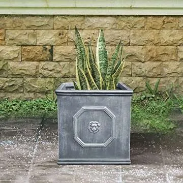 Kante Square Lion Head Concrete Planter, Classic English Style Plant Pot with Drainage Hole and Rubber Plug for Indoor Outdoor Garden Patio Home, 12.6"x12.6"x12.6" Antique Gray