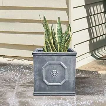 Kante Square Lion Head Concrete Planter, Classic English Style Plant Pot with Drainage Hole and Rubber Plug for Indoor Outdoor Garden Patio Home, 12.6"x12.6"x12.6" Antique Gray