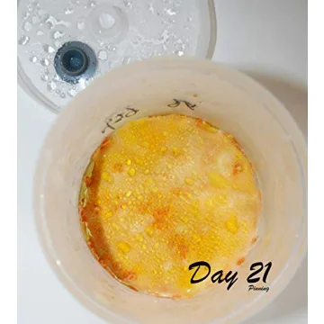 Mushroom Growing Kit for All Ages - Root Mushroom Farm