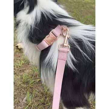 Dog Collar and Leash Set.Soft and Easy to Clean Vegan Leather with Rose Gold Metal Buckle for Small Medium Large Dogs (Pink, S(12.2"-16.9"))