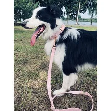 Dog Collar and Leash Set.Soft and Easy to Clean Vegan Leather with Rose Gold Metal Buckle for Small Medium Large Dogs (Pink, S(12.2"-16.9"))