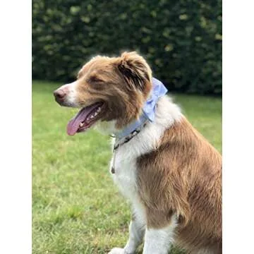 Unique Style Paws Pet Soft &Comfy Bowtie Dog Collar and Cat Collar Pet Gift for Dogs and Cats 6 Size and 7 Patterns