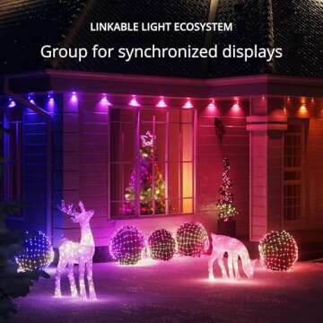 Twinkly Reindeers Doe - Mappable Outdoor LED Christmas Light