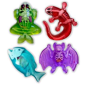 Dissect-It Kit for Kids, Synthetic Dissection Kids Science Kit to Learn Animal Science, Biology, STEM Toys for 6 Year Old and Above