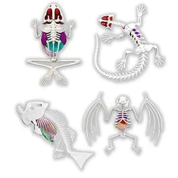 Dissect-It Kit for Kids, Synthetic Dissection Kids Science Kit to Learn Animal Science, Biology, STEM Toys for 6 Year Old and Above