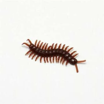 Realistic 20pcs Fake Insects Set for Pranks