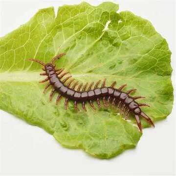 Realistic 20pcs Fake Insects Set for Pranks