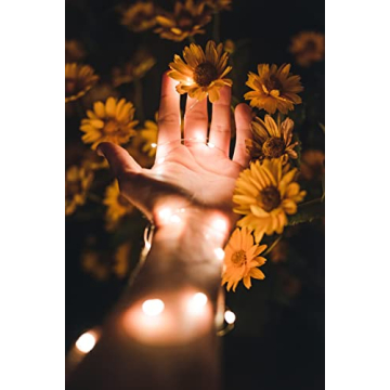 Super-Long 99Ft 300 LED Fairy Lights for Indoor Outdoor Decor