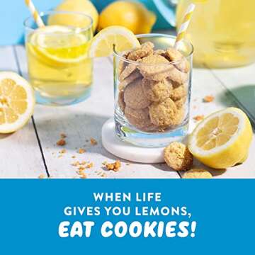 HighKey Sugar Free Cookies Lemon Shortbread Cookies - Keto Snack Diabetic Snacks Low Carb Butter Cookie Gluten Free Desserts Healthy Food Diet Friendly No Sugar Almond Flour Sweet Treats 2.25oz 3-Pack